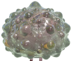Calcified Crushblat - Pikmin 3