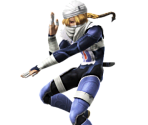 Sheik - Super Smash Bros. for Wii U