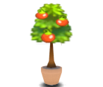 Berry Tree - Pokémon Omega Ruby / Alpha Sapphire