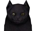 Cat - Folklore