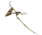 Pterodactyl - Fossil Fighters: Frontier