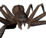 Aragog - Harry Potter & the Chamber of Secrets