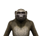 Monkey - X-Men Origins: Wolverine