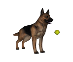 German Shepherd - Avatar Marketplace