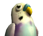 Budgie - Pet Rescue Saga