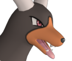 #229 Houndoom - Pokémon X / Y