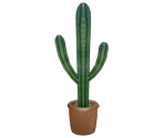 Cactus - Dead Rising