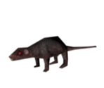 Rat - Harry Potter & the Philosopher's Stone