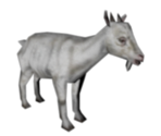 Goat - Harry Potter & the Philosopher's Stone