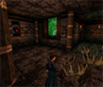 Chamber of Secrets (A) - Harry Potter & the Chamber of Secrets