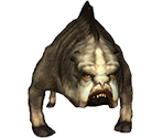 Wild Striped Tog - Aion
