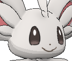 #572 Minccino - Pokémon X / Y