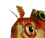 Blenny - Zoo Tycoon 2