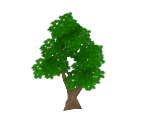 Basic Tree 2 - MySims Kingdom