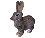 Rabbit (Lapifors) - Harry Potter & the Prisoner of Azkaban