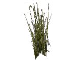 Grass - Harry Potter & the Prisoner of Azkaban