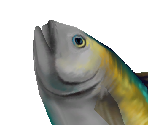 Yellowfin Tuna - Zoo Tycoon 2