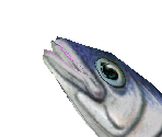 Capelin - Zoo Tycoon 2