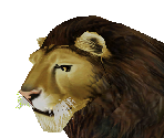 Lion Male - Zoo Tycoon 2