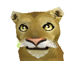Lion Baby - Zoo Tycoon 2