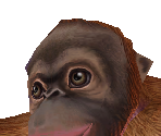 Orangutan Baby - Zoo Tycoon 2