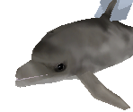 Bottlenose Dolphin - Zoo Tycoon 2