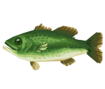 Black Bass - Animal Crossing: New Leaf
