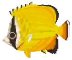 Butterflyfish - Animal Crossing: New Leaf