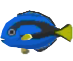 Surgeonfish - Animal Crossing: New Leaf