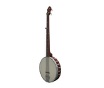 Banjo - BioShock: Infinite