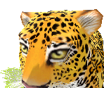 Jaguar - Zoo Tycoon 2