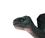 Galapagos Giant Tortoise - Zoo Tycoon 2