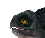 Galapagos Giant Tortoise Baby - Zoo Tycoon 2