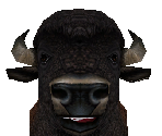 American Bison Male - Zoo Tycoon 2