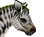 Common Zebra Baby - Zoo Tycoon 2