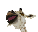 Masai Giraffe Baby - Zoo Tycoon 2