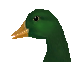 Mallard Duck - Zoo Tycoon 2