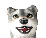 Gray Wolf Baby - Zoo Tycoon 2