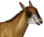 Giant Sable Antelope Baby - Zoo Tycoon 2
