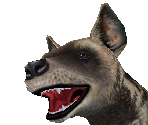 Striped Hyena - Zoo Tycoon 2