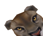 Florida Panther Baby - Zoo Tycoon 2