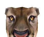 Florida Panther - Zoo Tycoon 2