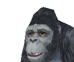 Mountain Gorilla Male - Zoo Tycoon 2