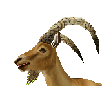 Ibex Male - Zoo Tycoon 2