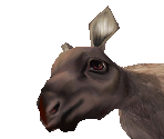 Moose Baby - Zoo Tycoon 2