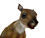 Caribou Baby - Zoo Tycoon 2