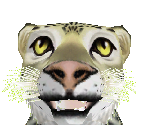 Snow Leopard Baby - Zoo Tycoon 2