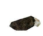 Lizard Poop - Zoo Tycoon 2
