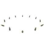 Stealth Rock - Pokémon X / Y