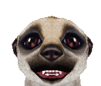 Meerkat Baby - Zoo Tycoon 2
